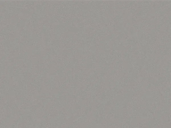 RAL 9007