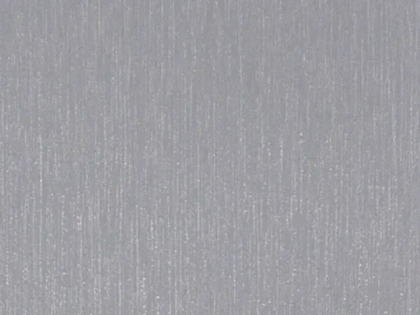 silver 4361002