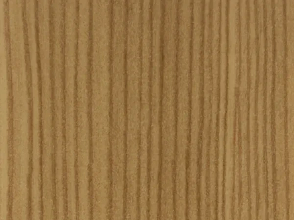 bergkiefer 3069041