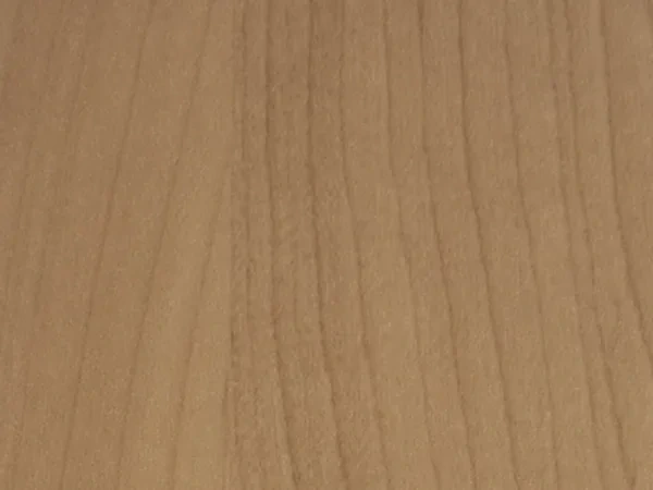 birke rose 4363031