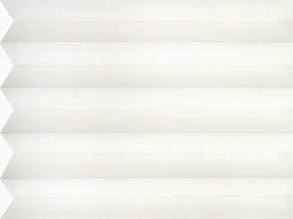 BO 11195 - Sea Shell