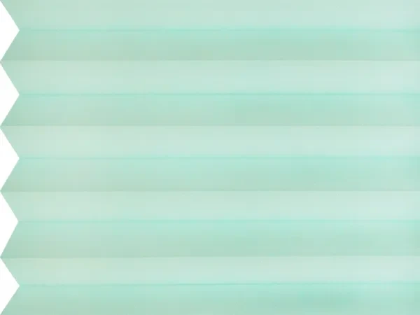 BO 11240 - Cool mint