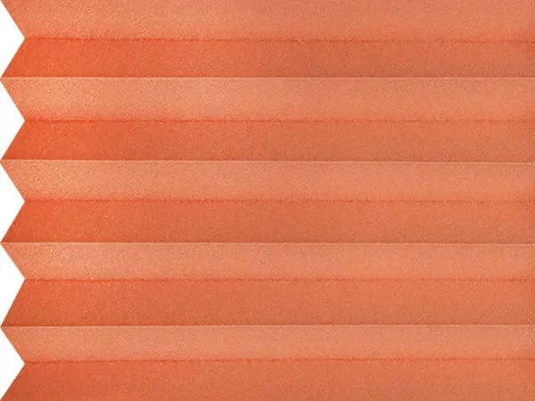 BO 11242 - Coral