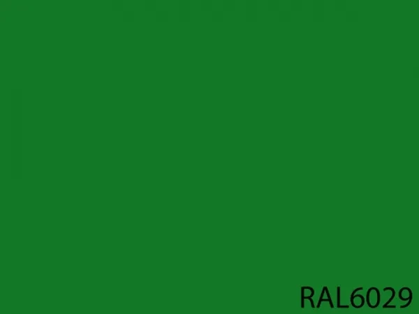RAL 6029