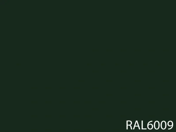RAL 6009
